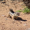 photo thumbnail #1