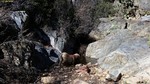 photo thumbnail #11