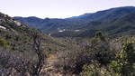 photo thumbnail #15
