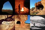 photo thumbnail #3