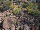 photo thumbnail #5