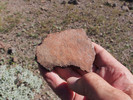 photo thumbnail #6