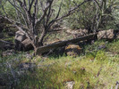 photo thumbnail #7