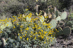 photo thumbnail #9
