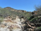 photo thumbnail #13