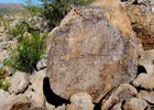 photo thumbnail #9