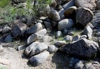 photo thumbnail #11