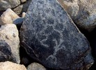 photo thumbnail #12