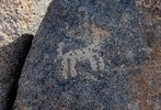 photo thumbnail #13