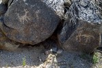 photo thumbnail #15