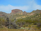 photo thumbnail #6