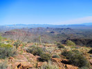 photo thumbnail #7