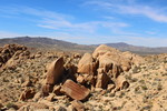 photo thumbnail #3