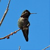 photo thumbnail #5