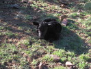 photo thumbnail #4