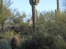 photo thumbnail #1
