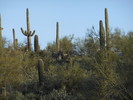 photo thumbnail #2