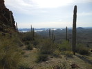 photo thumbnail #5