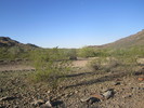 photo thumbnail #3