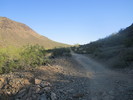photo thumbnail #6