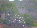 2016-02-27 :2: Kanaha Pond Wildlife Sanctuary :: New2hyk