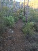 photo thumbnail #9