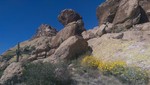 photo thumbnail #1