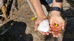 photo thumbnail #6