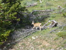 photo thumbnail #14