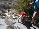 photo thumbnail #2