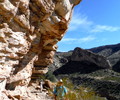photo thumbnail #4