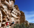 photo thumbnail #6