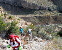 photo thumbnail #15
