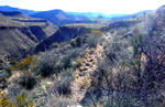photo thumbnail #1