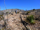 photo thumbnail #5
