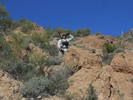 photo thumbnail #3