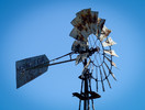 photo thumbnail #4