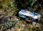 photo thumbnail #5