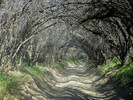 photo thumbnail #14