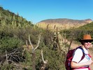 photo thumbnail #2