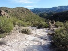 photo thumbnail #5