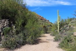 photo thumbnail #4