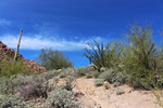 photo thumbnail #6