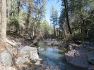 photo thumbnail #4