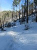 photo thumbnail #7