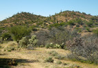 photo thumbnail #5