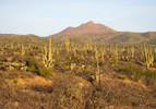 photo thumbnail #6