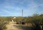 photo thumbnail #7