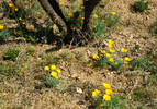 photo thumbnail #8