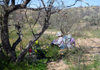 photo thumbnail #9